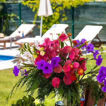 Apartman Nergis By Safiya *